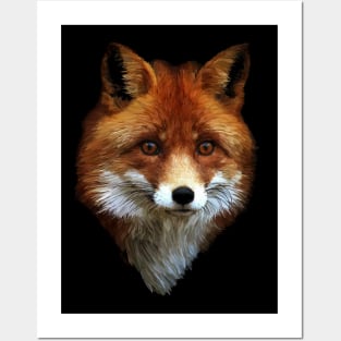 Fox Posters and Art